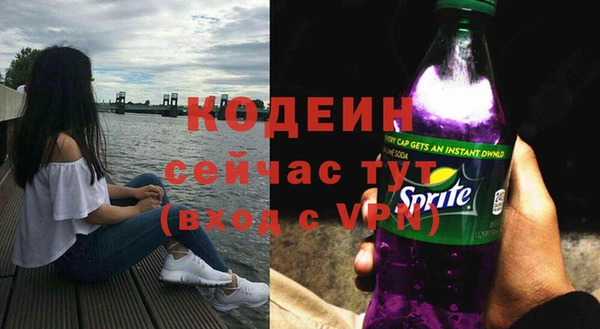 ПСИЛОЦИБИНОВЫЕ ГРИБЫ Гусиноозёрск